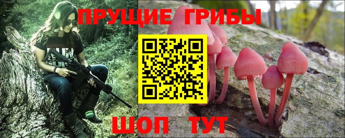 магазин продажи   Галлюциногенные грибы Cubensis  Галлюциногенные грибы Psilocybine cubensis  Вход с VPN  Пушкино 